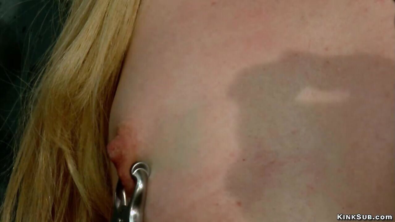Cheating schoolgirl assfucking bdsm ravaged